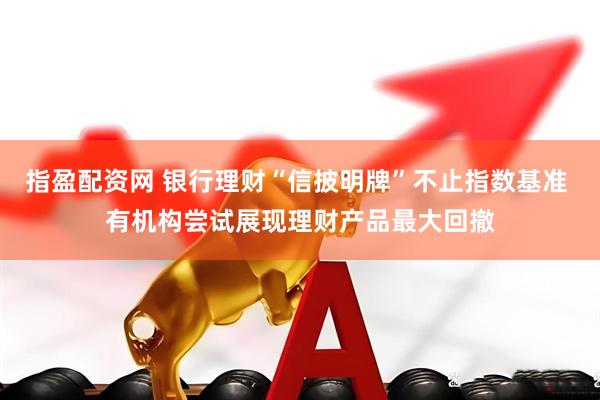 指盈配资网 银行理财“信披明牌”不止指数基准 有机构尝试展现理财产品最大回撤