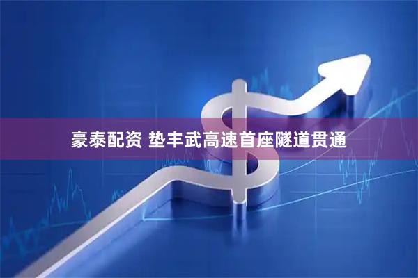 豪泰配资 垫丰武高速首座隧道贯通